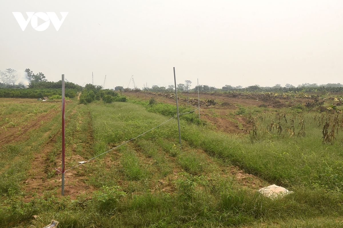 nguoi dan Au co cat do nha, ban giao mat bang du an cau tu lien hinh anh 13