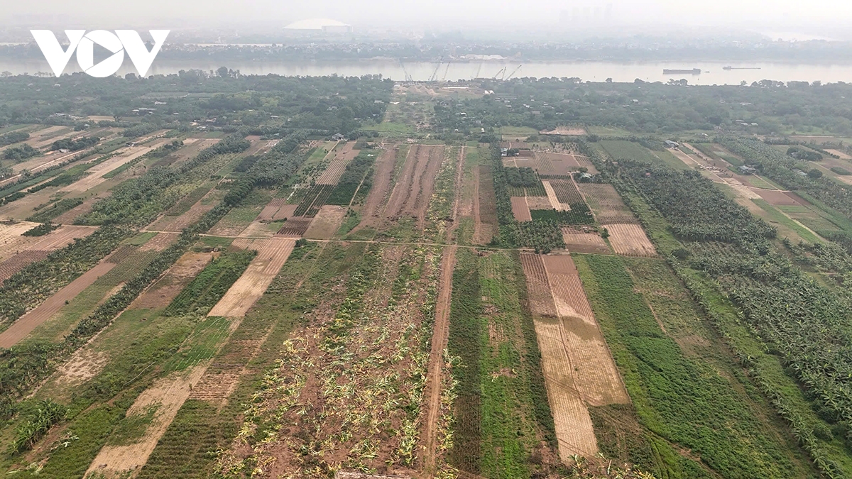 nguoi dan Au co cat do nha, ban giao mat bang du an cau tu lien hinh anh 14