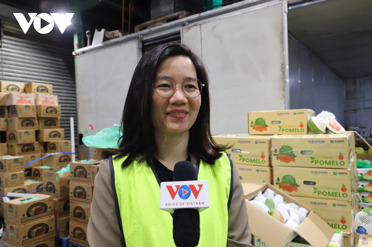 qua buoi viet nam lan dau tien duoc ban tai australia hinh anh 2