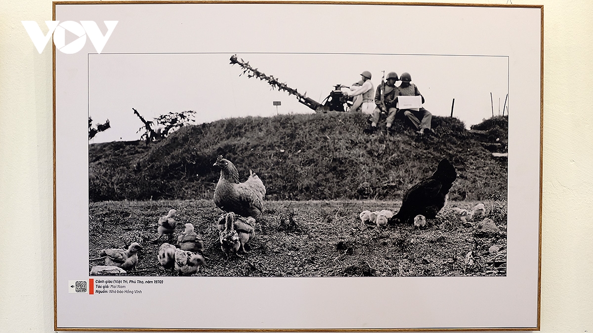 trien lam anh 51 nam - ban hung ca thong nhat khong chi de nhin lai hinh anh 3