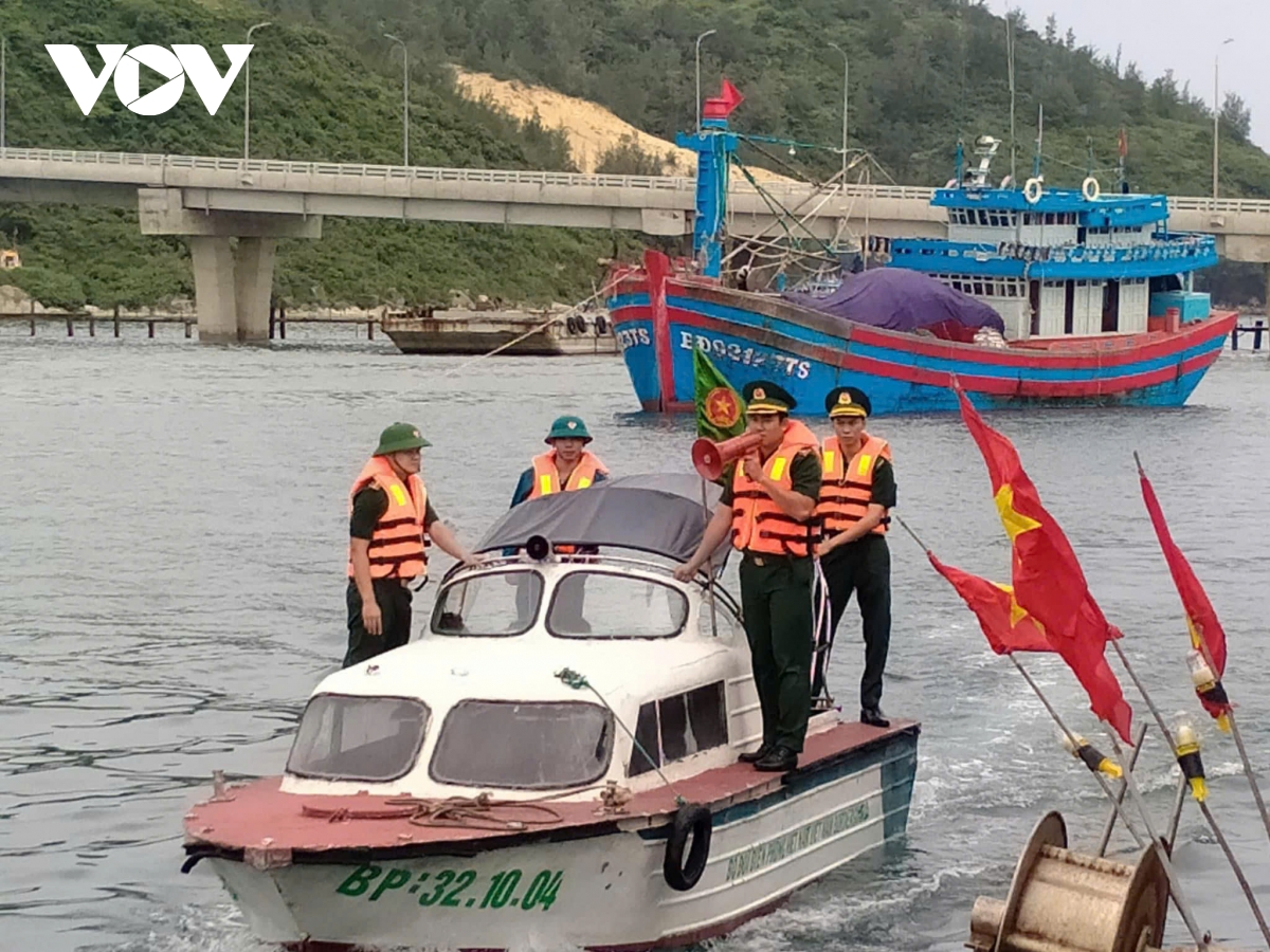 go the vang iuu gia lai xu phat tren 9,5 ty dong ve vi pham tren bien hinh anh 2