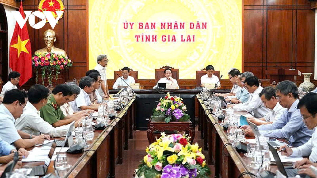 chu tich gia lai yeu cau xu ly nghiem hanh vi gam hang, ke gia bat hop ly hinh anh 1