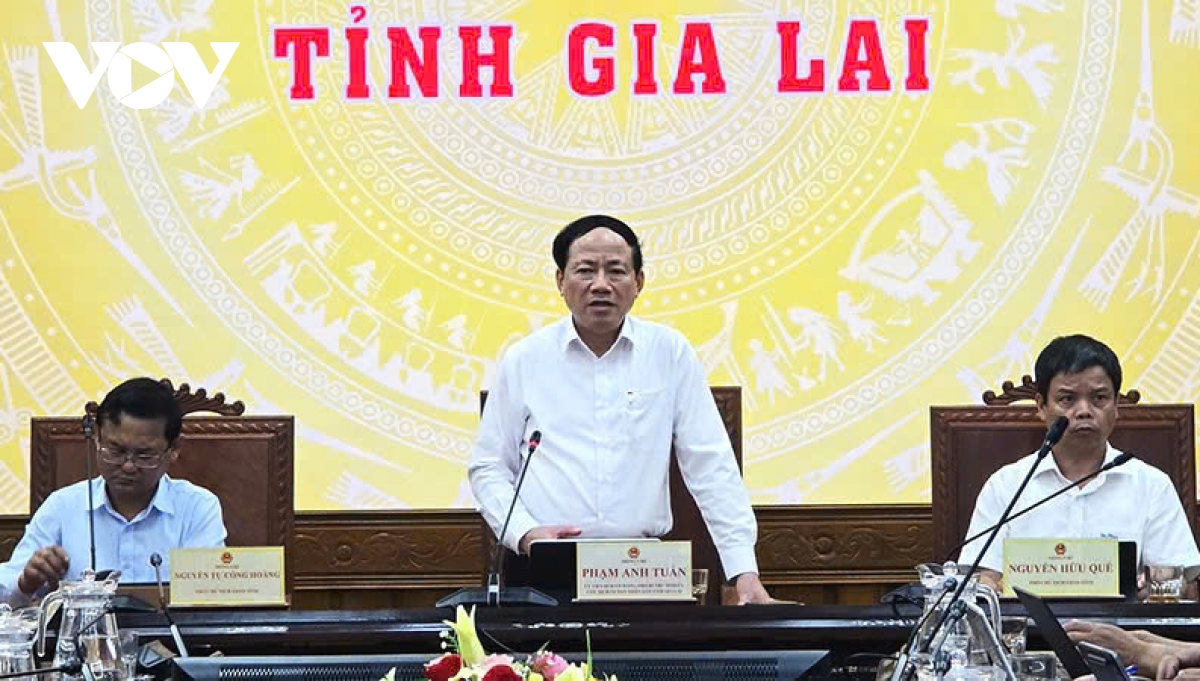 chu tich gia lai yeu cau xu ly nghiem hanh vi gam hang, ke gia bat hop ly hinh anh 2