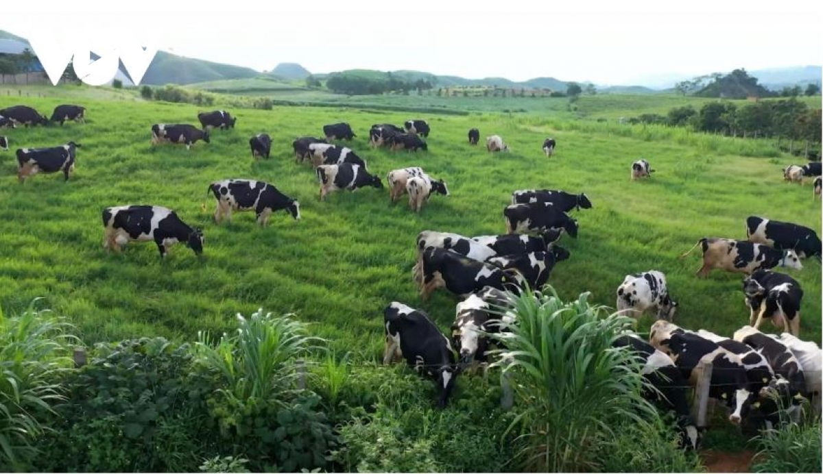 nguon nuoc o nhiem o phuong thao nguyen, son la van chua duoc giai quyet triet de hinh anh 1