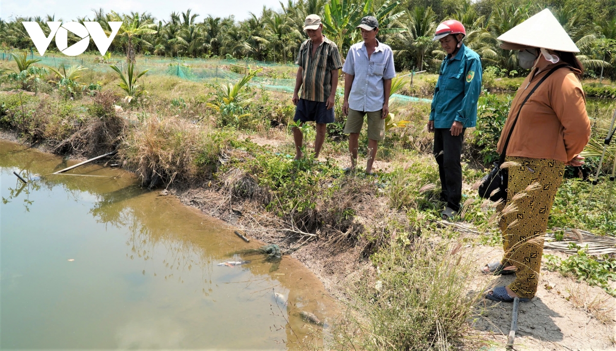 ca chet hang loat quanh khu bom cat du an nang cap san bay ca mau hinh anh 1