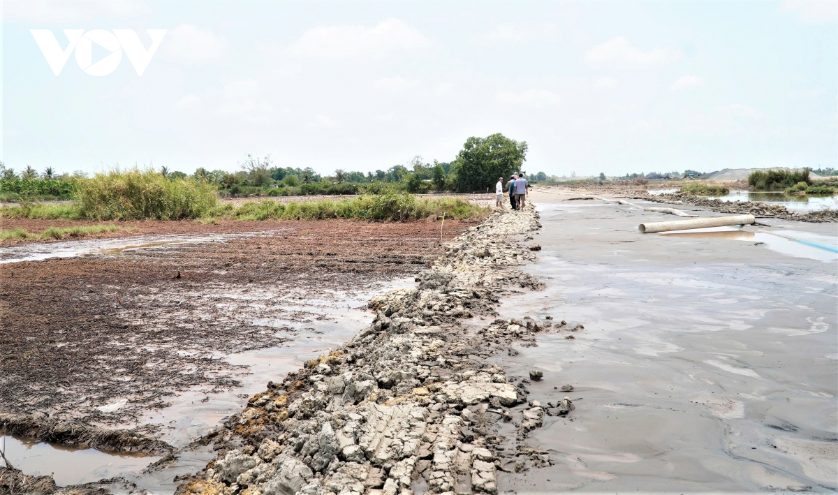 ca chet hang loat quanh khu bom cat du an nang cap san bay ca mau hinh anh 2