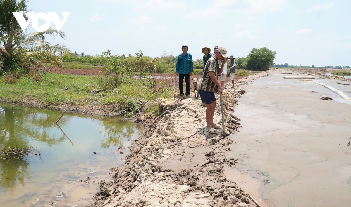 ca chet hang loat quanh khu bom cat du an nang cap san bay ca mau hinh anh 3