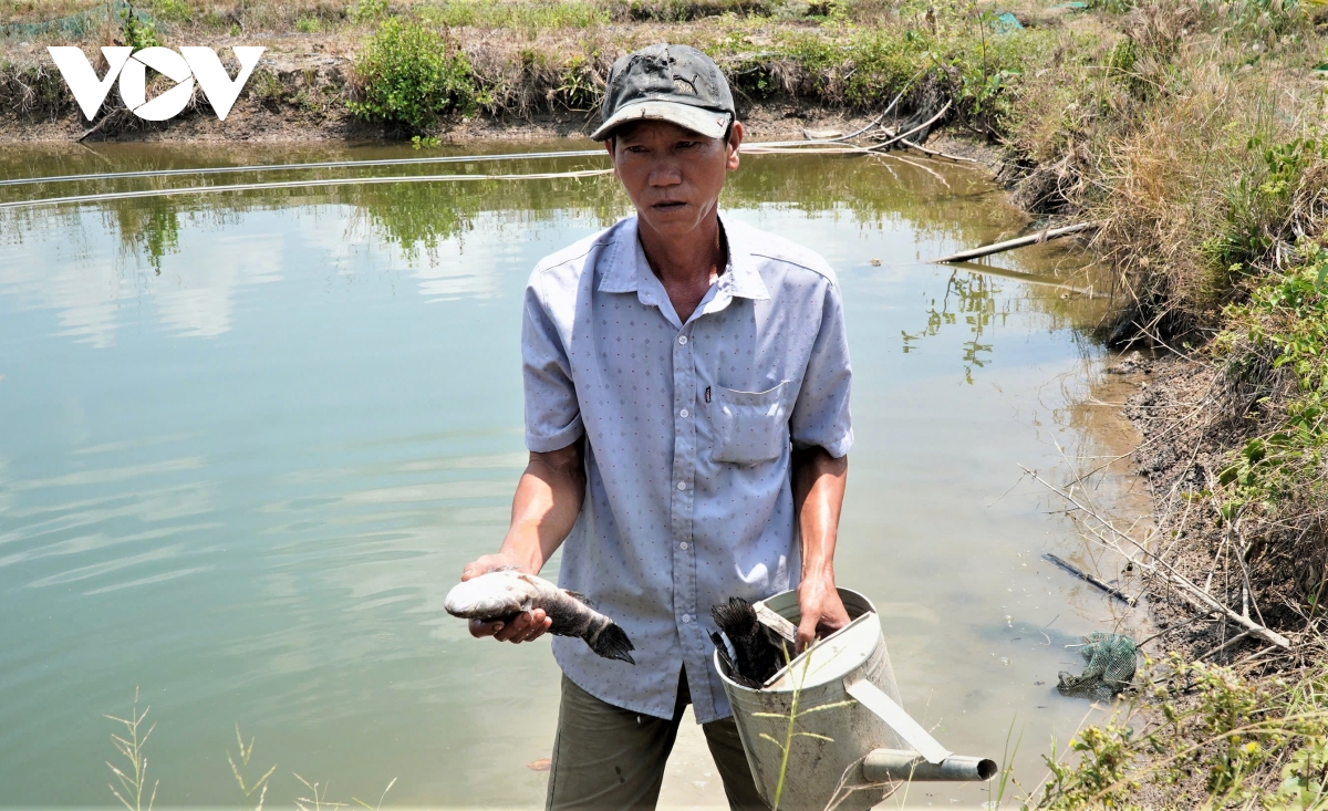 ca chet hang loat quanh khu bom cat du an nang cap san bay ca mau hinh anh 4