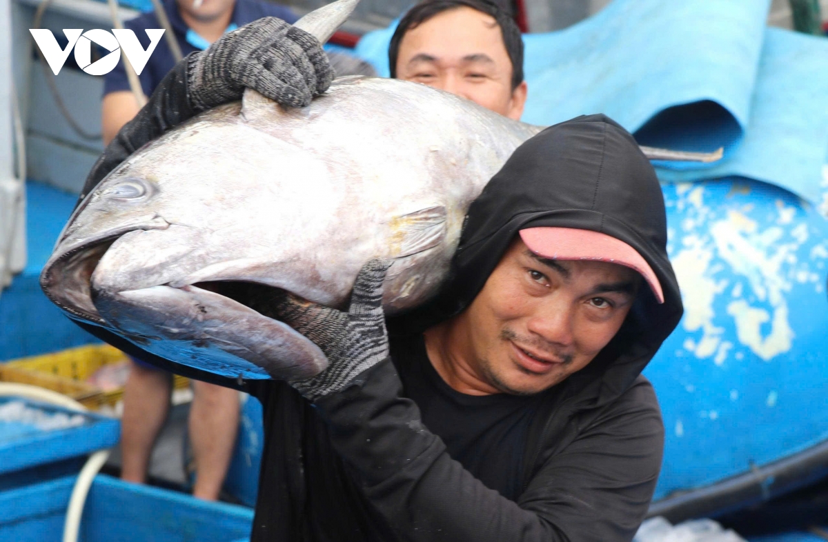 Dak lak dinh hinh tru cot kinh te bien tu go iuu den logistics, du lich hinh anh 3