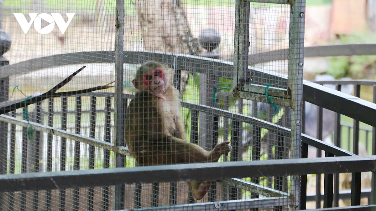 lao cai nguoi dan tim thay ca the khi mat do, ban giao cho co quan chuc nang hinh anh 1