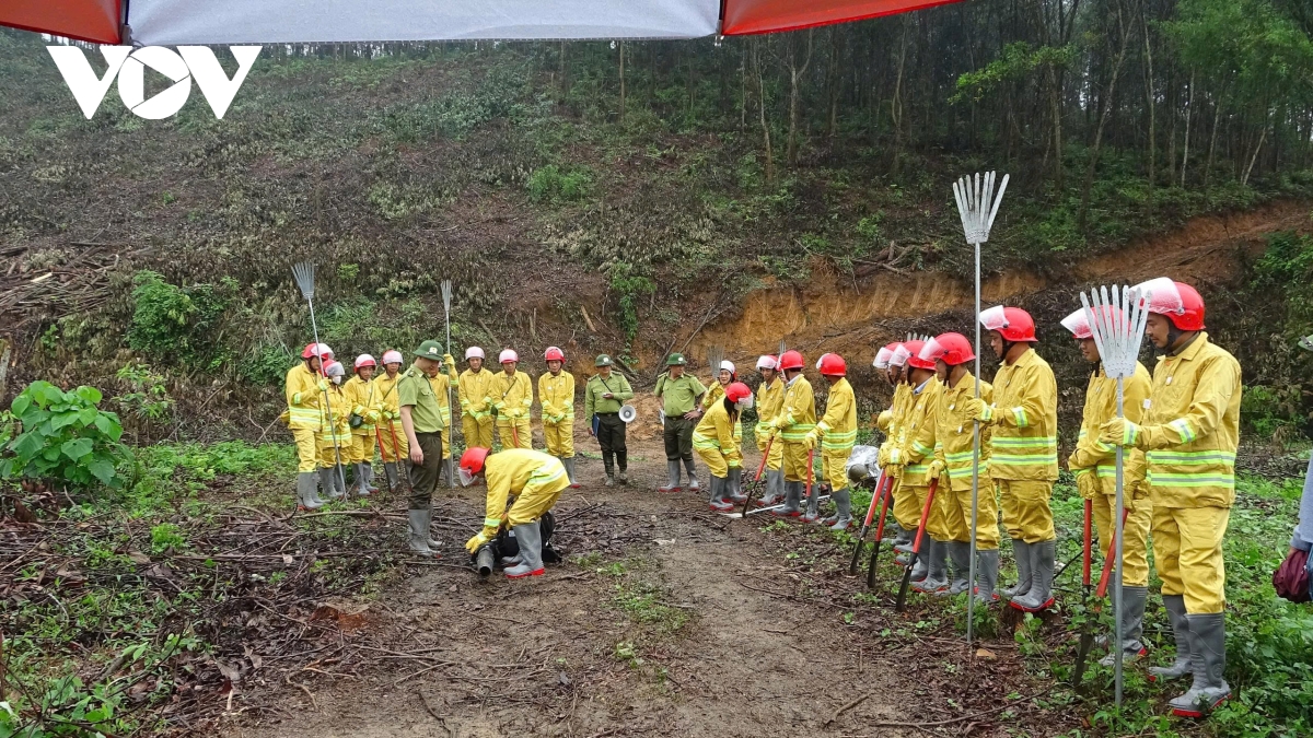 giu rung mua hanh kho o thai nguyen hinh anh 1