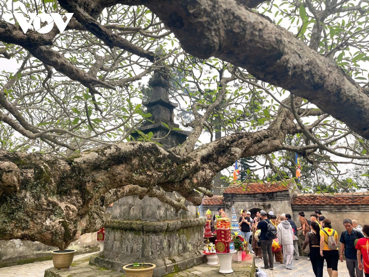 lien ket mo rong khong gian du lich vung quang ninh, bac ninh, hai phong hinh anh 3