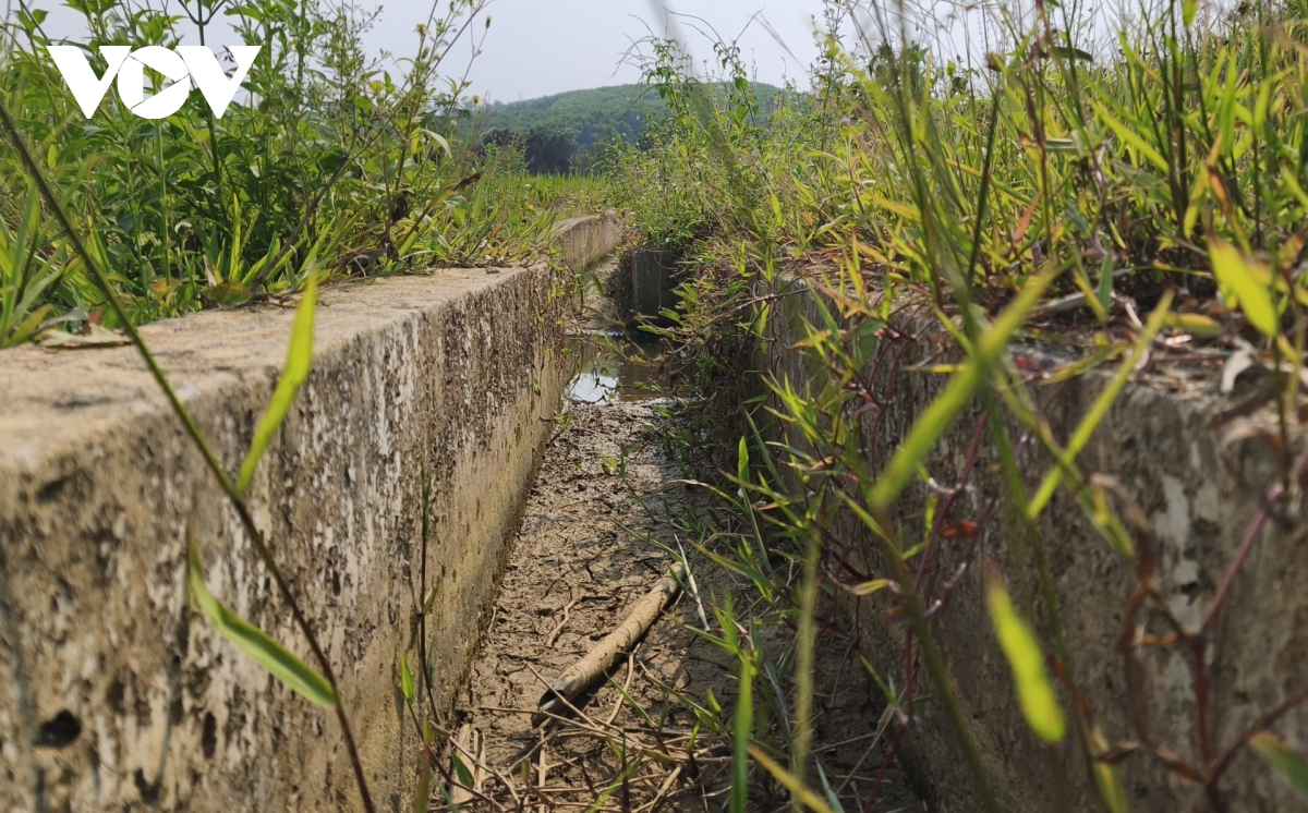 xa mien nui quang tri lan dau tien phai chong han vu Dong xuan hinh anh 4