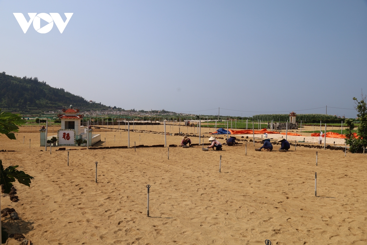 Dao ly son lo thieu nuoc sinh hoat va san xuat nong nghiep hinh anh 4