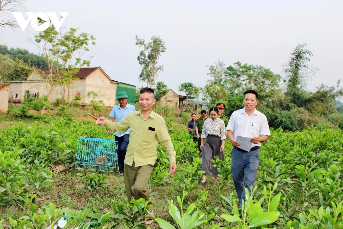 Thả cá thể cu ly “lạc” vào vườn người dân về rừng tự nhiên