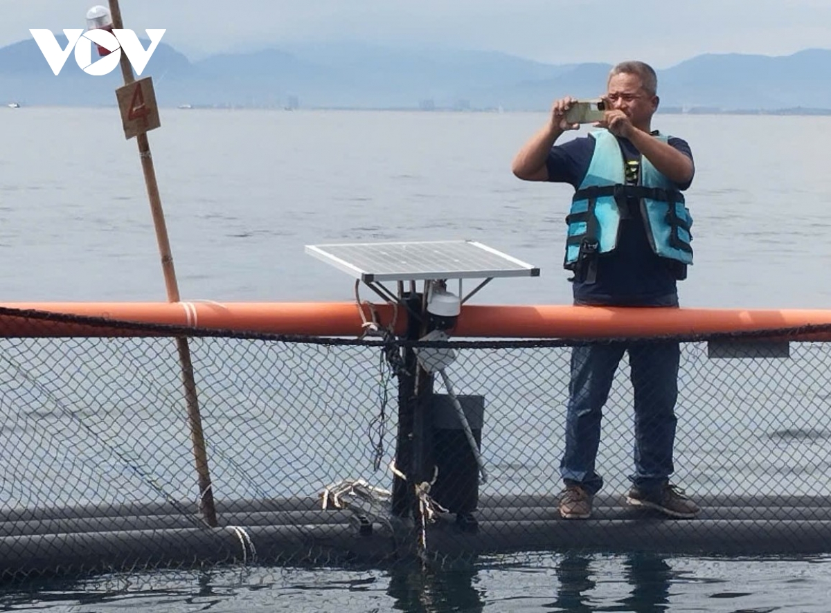 khanh hoa mo huong nuoi bien, phat trien nghe ca ben vung hinh anh 3