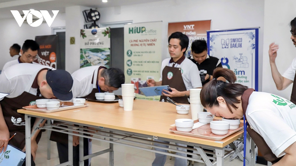 44 mau ca phe vao vong chung ket cuoc thi ca phe dac san viet nam 2026 hinh anh 2