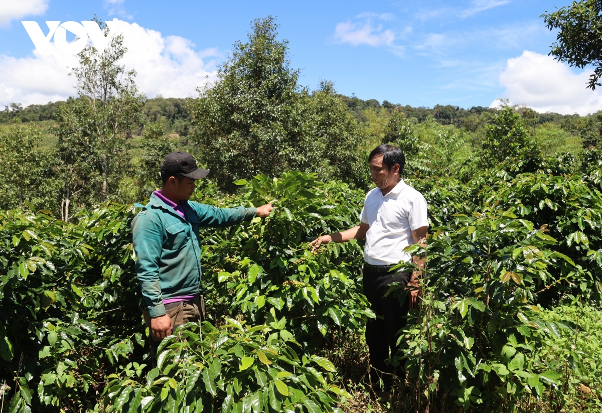 can bo co so mien nui quang ngai cung nhau ganh viec hinh anh 1