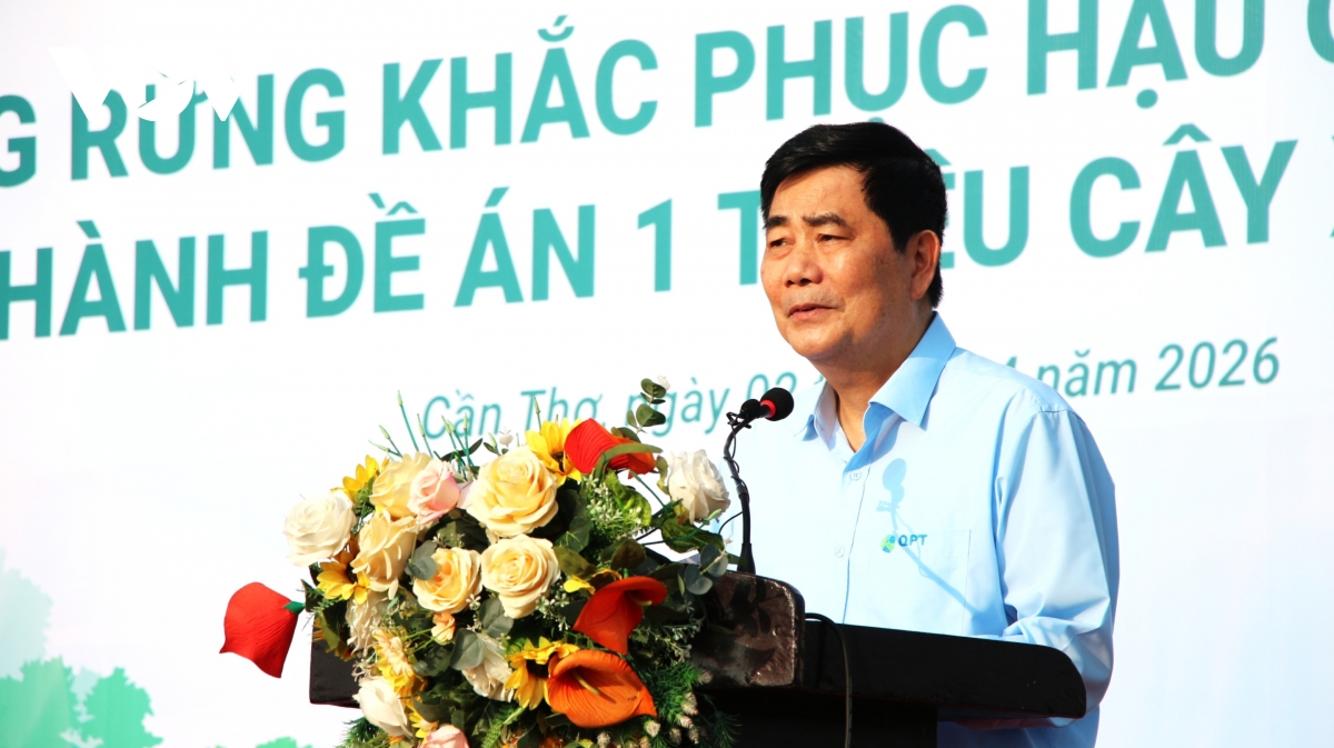 can tho phat dong trong 240.000 cay rung, phuc hoi he sinh thai ven bien hinh anh 1