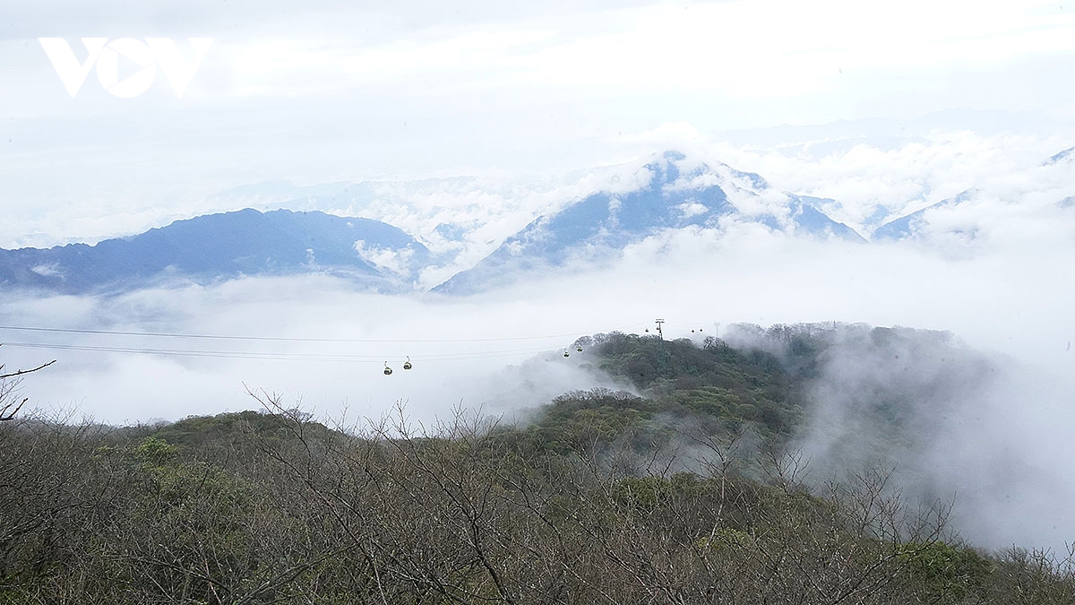 nui pham tinh mot trong ngu dai danh son phat giao o trung quoc hinh anh 2