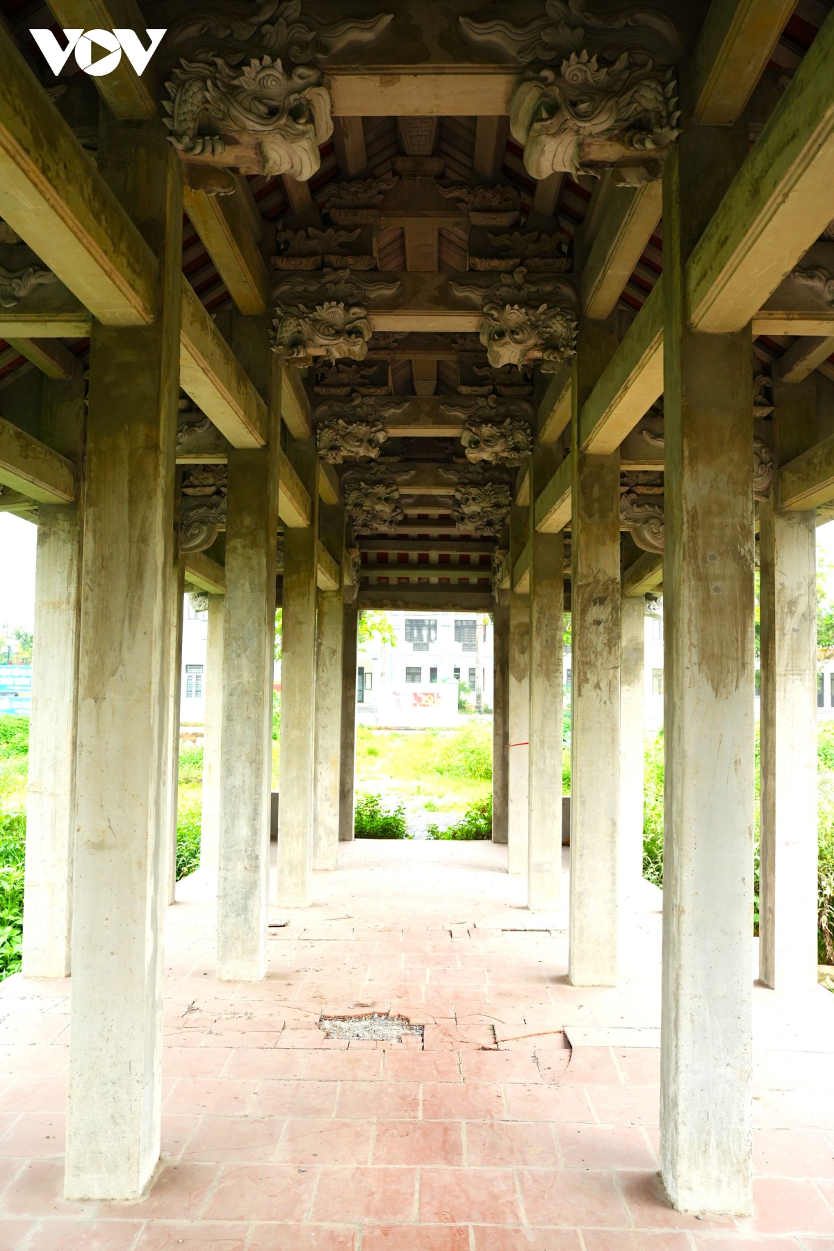 vuon hoa 8 nam bo hoang phan cam tuong Dai thi hao nguyen du giua mo phan, co dai hinh anh 7