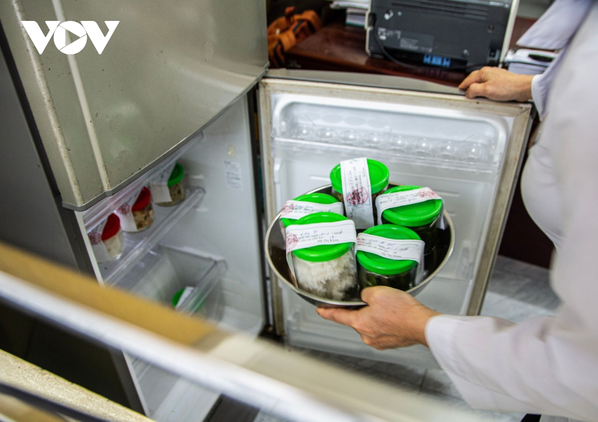 vu tuon thit lon benh vao truong hoc o ha noi bo y te chi dao khan hinh anh 1