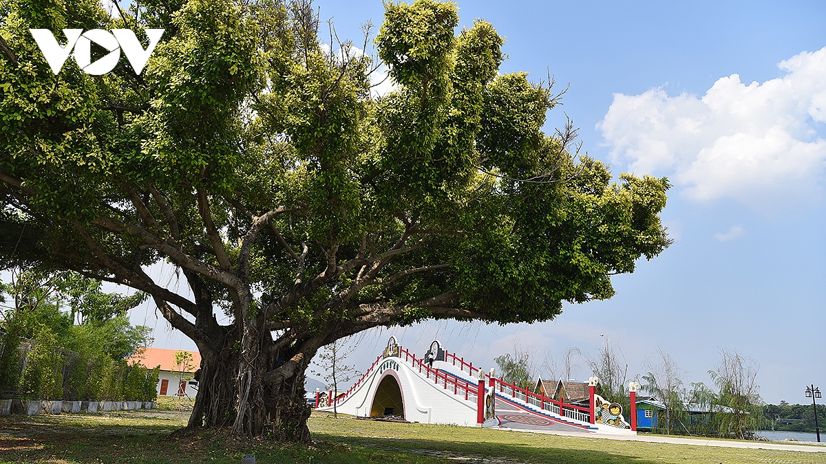 lang du lich lin chang, diem den kham pha van hoa viet hap dan tai thai lan hinh anh 11