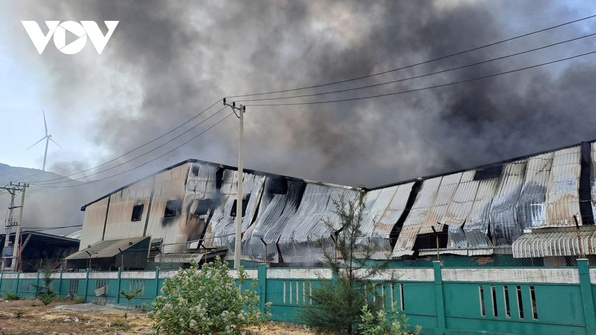 kip thoi khong che vu chay lon tai khu kinh te nhon hoi, gia lai hinh anh 4