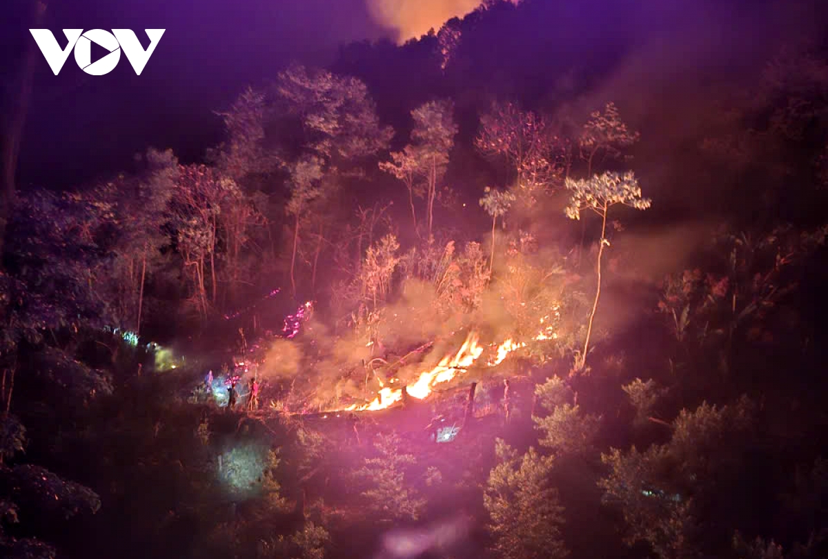 khong che kip thoi chay rung phong ho tai tan uyen hinh anh 1