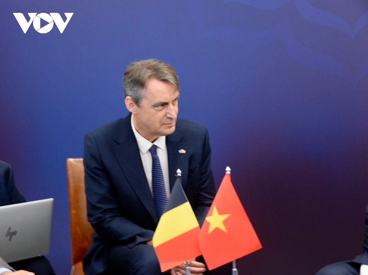 chu tich quoc hoi tran thanh man gap chu tich thuong vien bi vincent blondel hinh anh 4