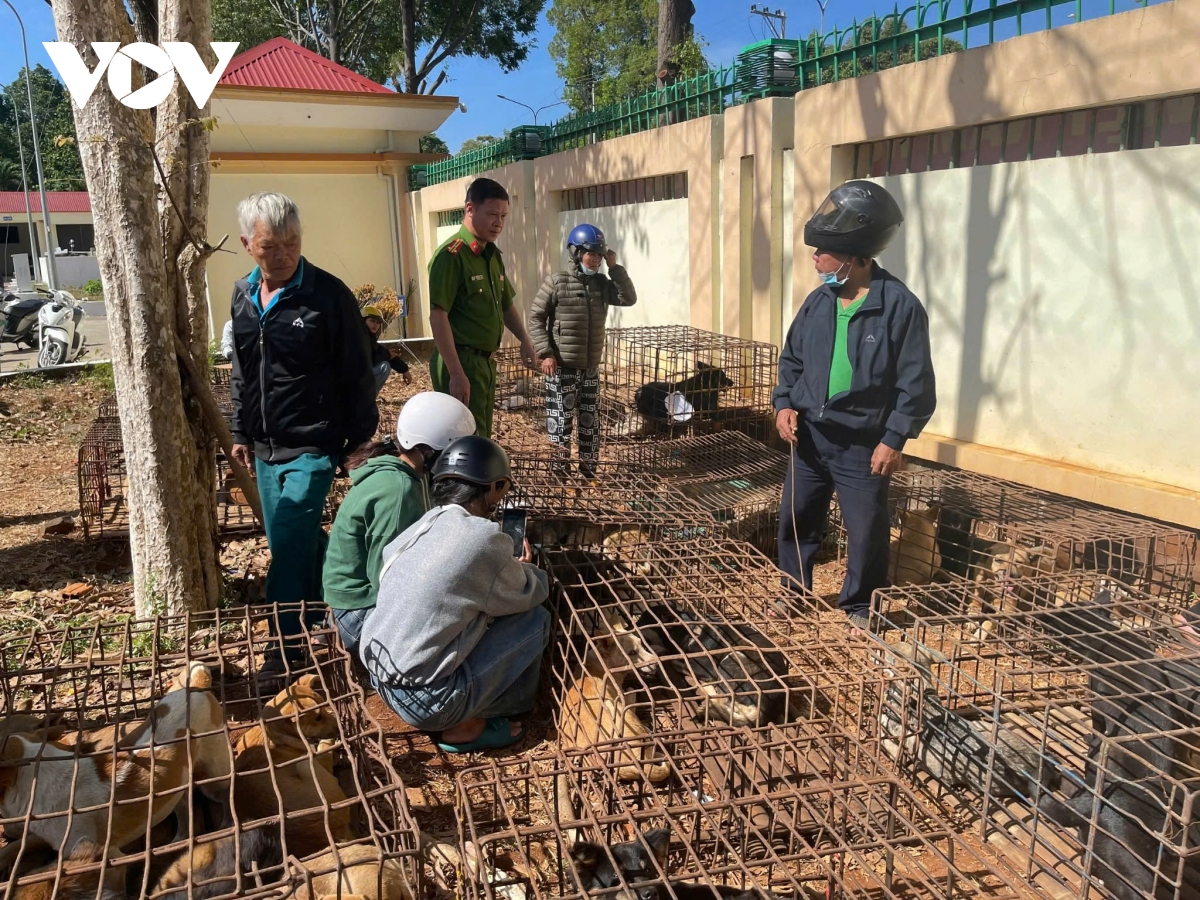Khởi tố, bắt tạm giam 2 đối tượng gây ra hàng loạt vụ trộm chó tại Đắk Lắk