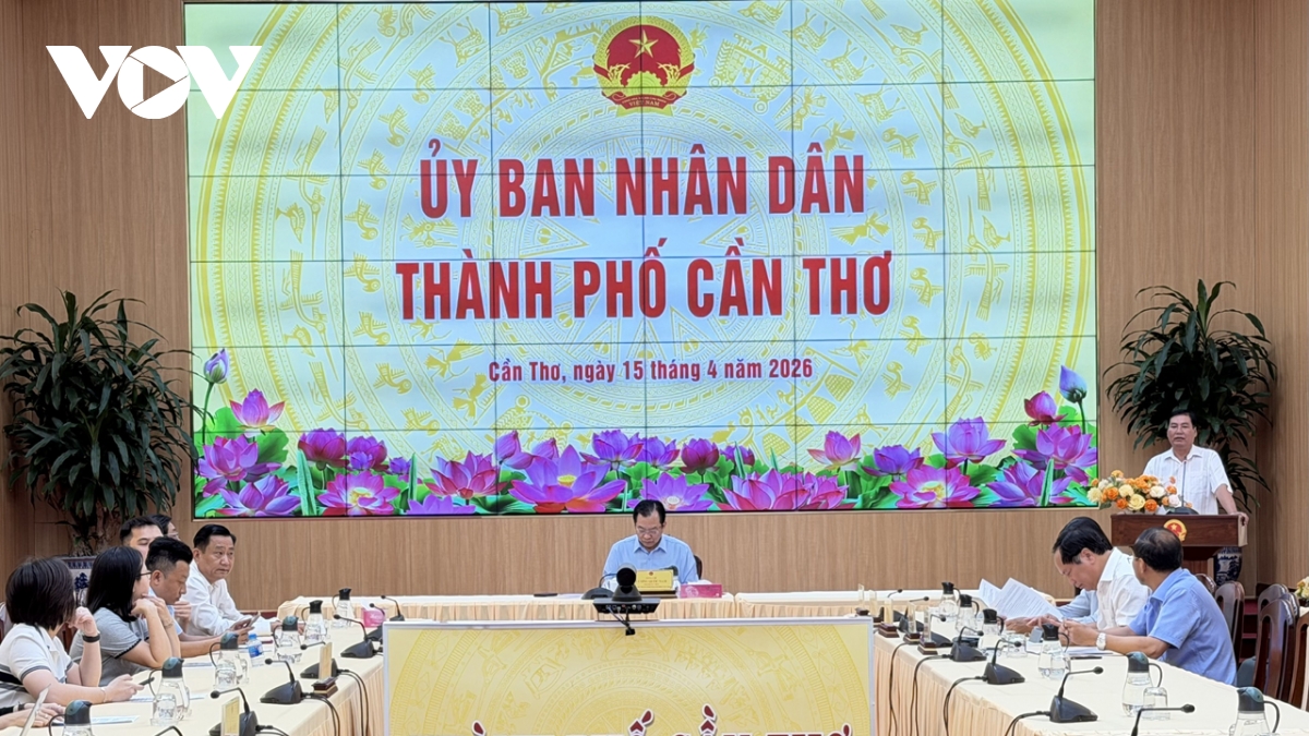 can tho ban viec tieu thu lua vu Dong xuan 2025 - 2026 cho nong dan hinh anh 1