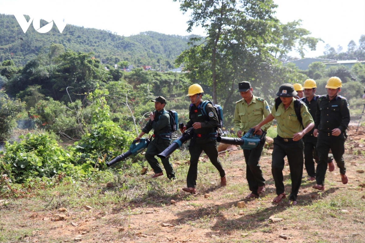 Da nang nang cao trach nhiem, kiem soat chat nguy co chay rung hinh anh 3