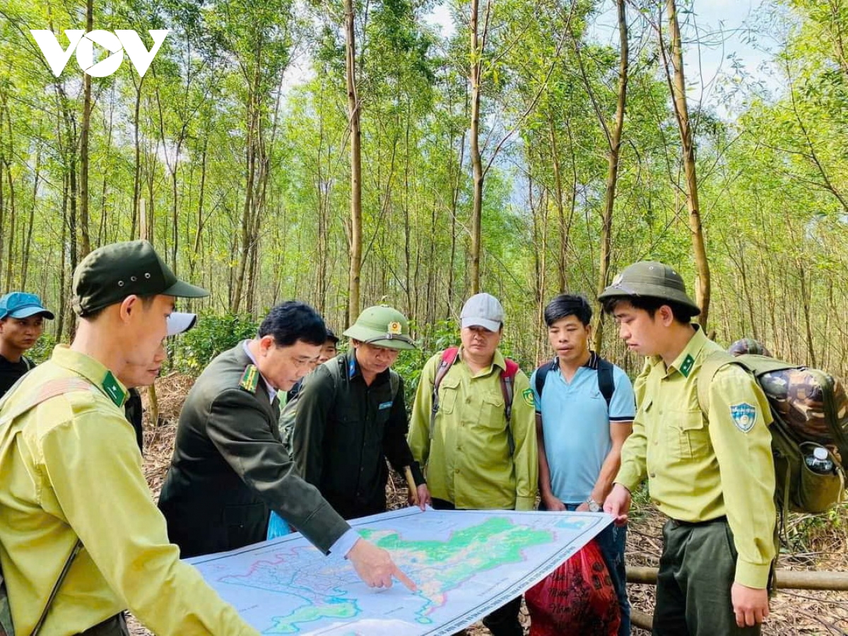 Da nang nang cao trach nhiem, kiem soat chat nguy co chay rung hinh anh 4