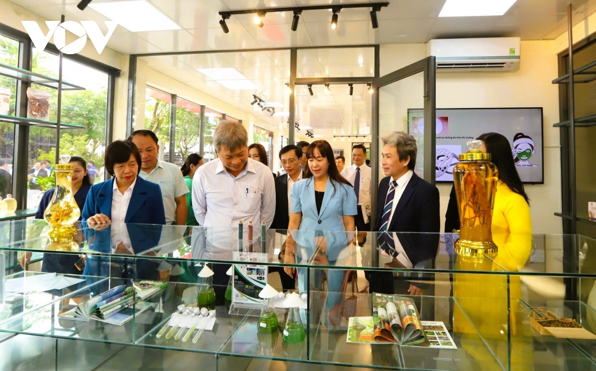 Da nang day manh ung dung cong nghe phat trien sam ngoc linh va duoc lieu hinh anh 4