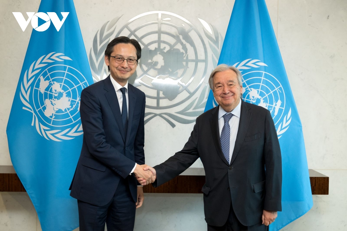 lien hop quoc ung ho viet nam dam nhiem chu tich npt hinh anh 1