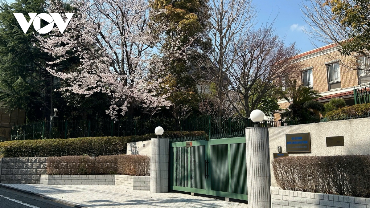 Dong dat tai nhat ban Dai su quan viet nam san sang trien khai bao ho cong dan hinh anh 1