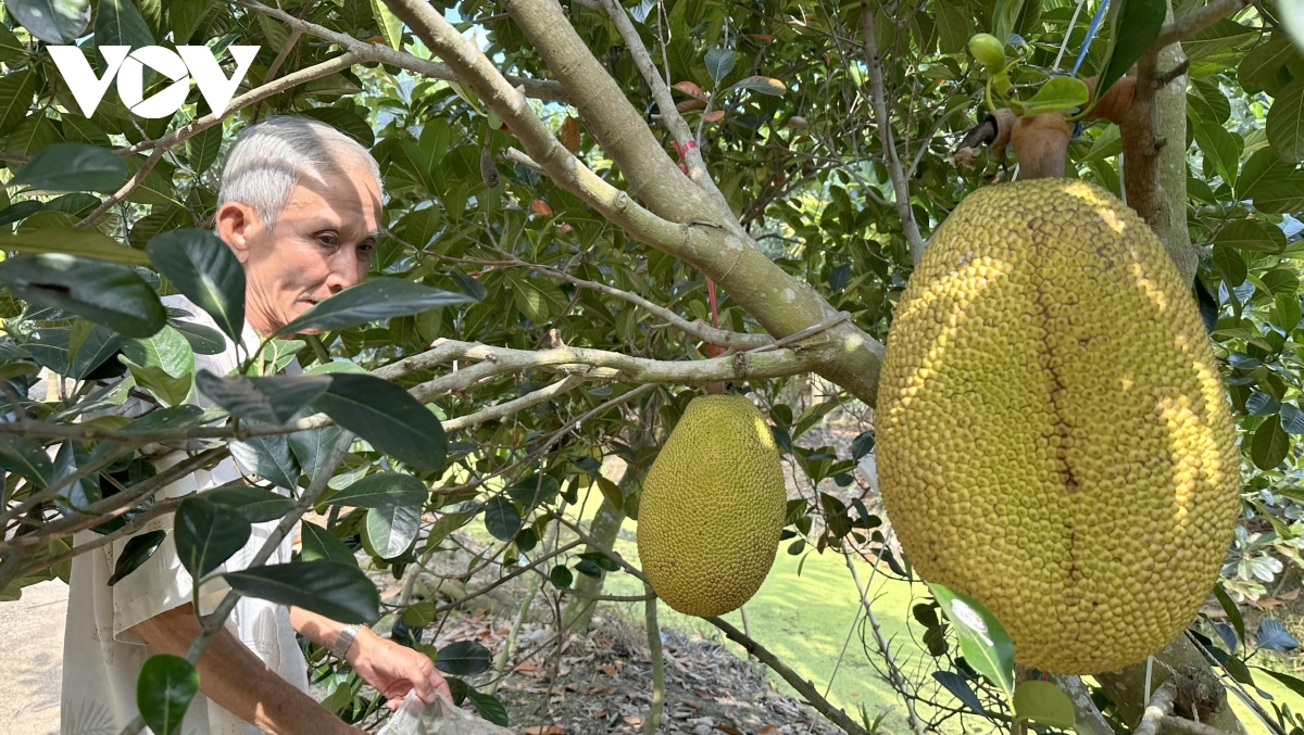 nguon nuoc Dong bang song cuu long truoc ap luc gia tang bai 1 hinh anh 3