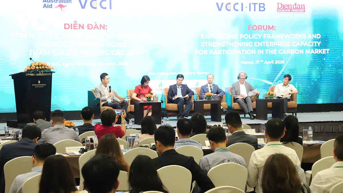 hoan thien chinh sach, nang nang luc doanh nghiep tham gia thi truong cac-bon hinh anh 3