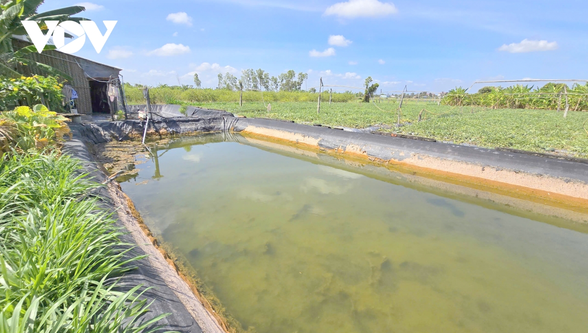 nguon nuoc Dong bang song cuu long truoc ap luc gia tang bai 1 hinh anh 5