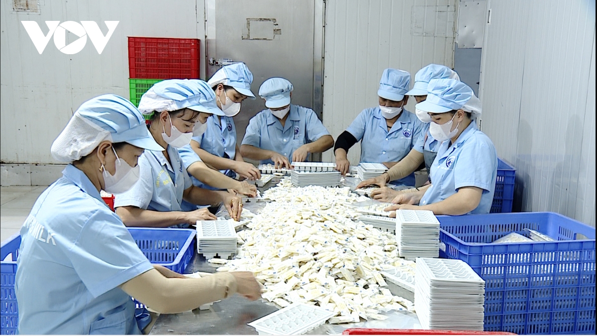 mo loi de doanh nghiep tu nhan co the di duong dai hinh anh 1