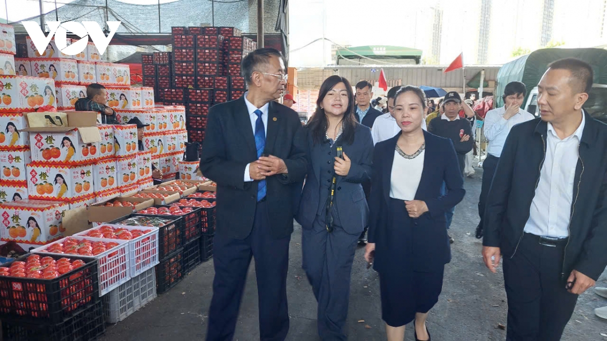 xuc tien thuong mai, gia tang co hoi de dn viet tiep can thi truong trung quoc hinh anh 4