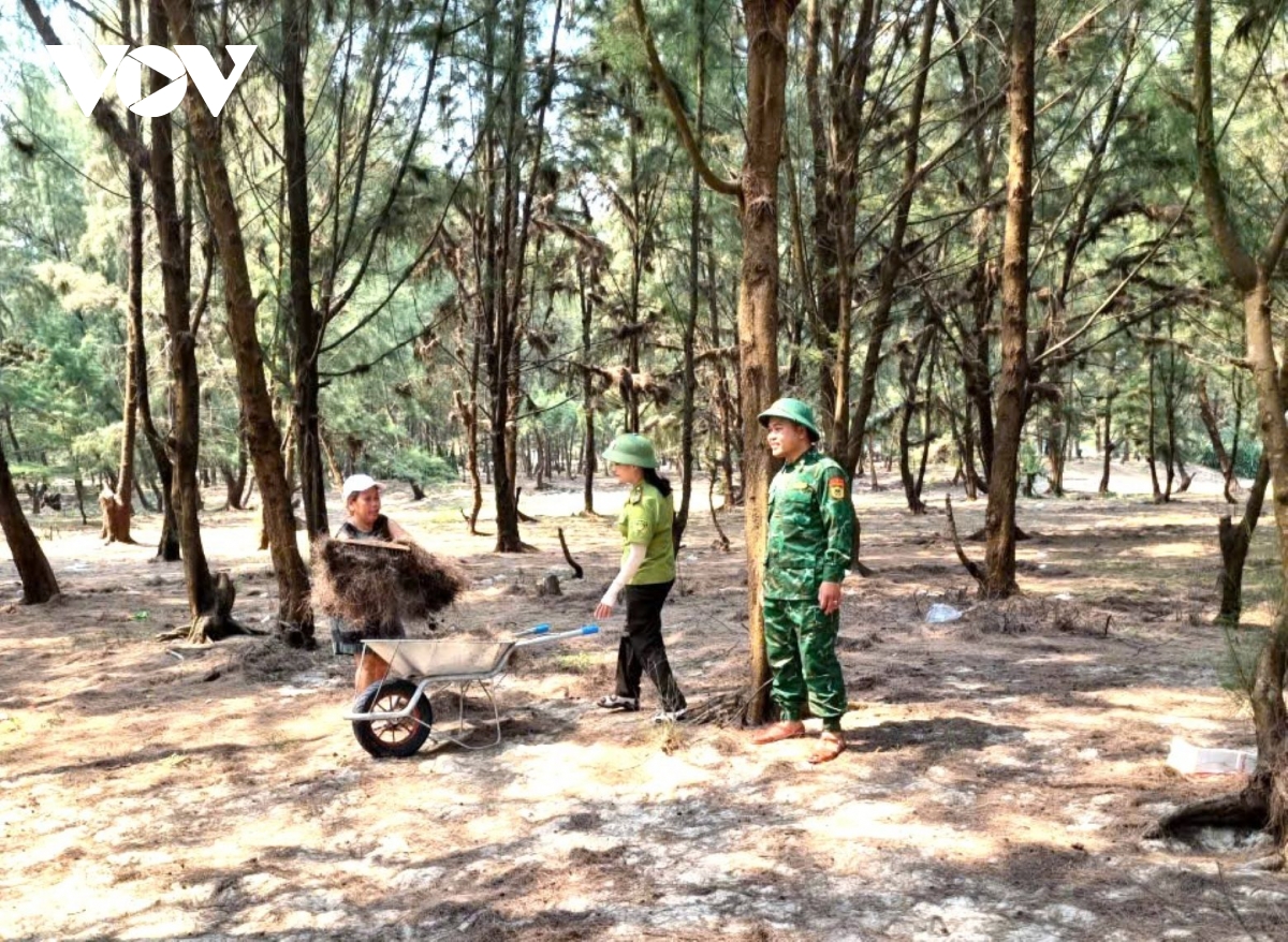 hue giu rung giua cao diem nang nong dac biet gay gat hinh anh 2