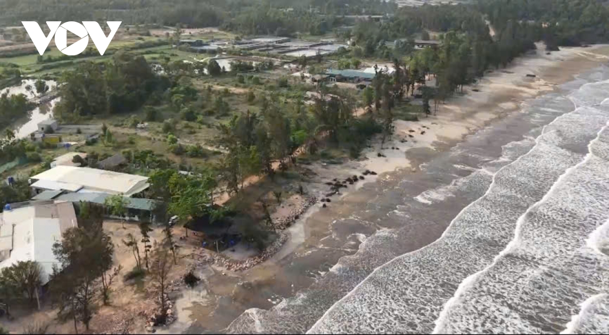 nghe an day nhanh tien do thuc hien du an trong diem hinh anh 2