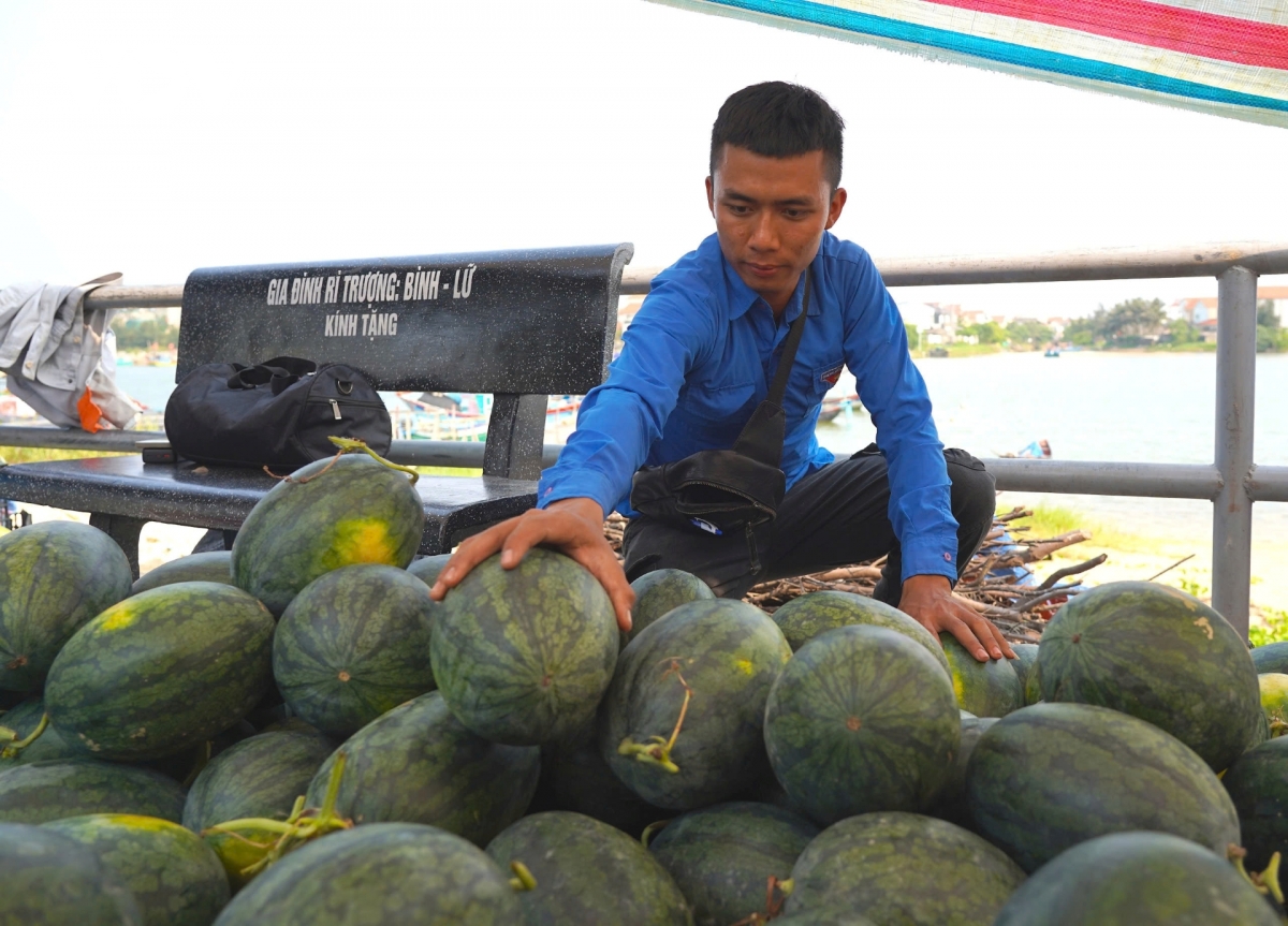 gia dua hau giam con 3.000 dong kg, nong dan lo lang giua vu mua hinh anh 6