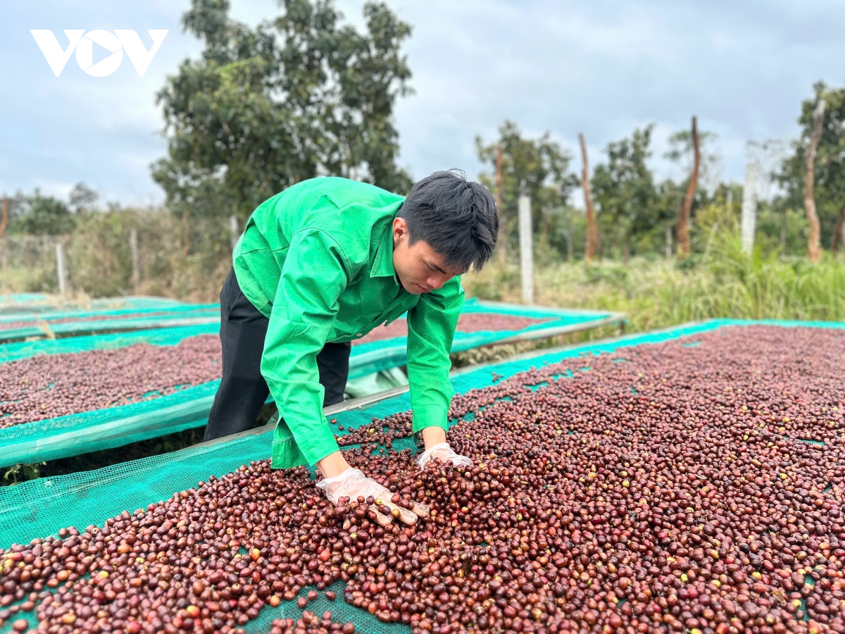 giao dich hang hoa phai sinh giup nong dan khong phai danh du theo thi truong hinh anh 4
