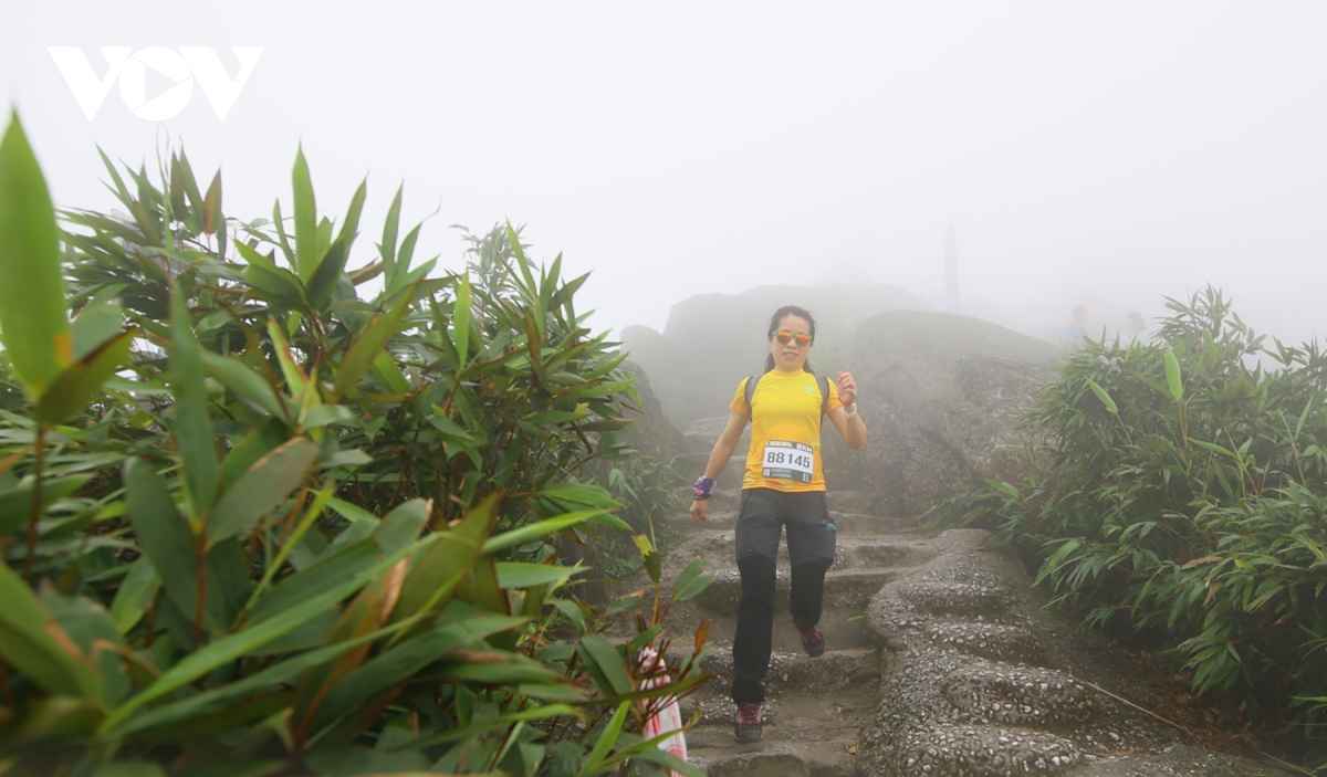 hon 1.000 nguoi chinh phuc dinh di san yen tu hinh anh 12