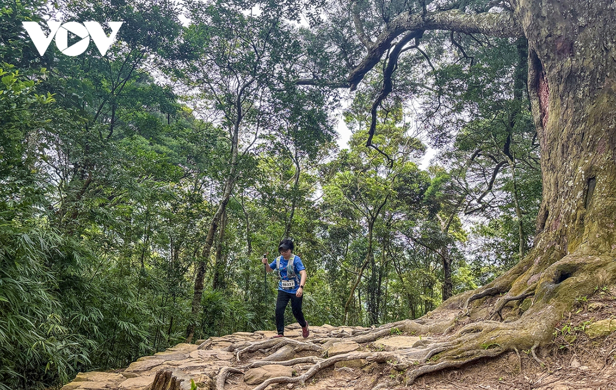 hon 1.000 nguoi chinh phuc dinh di san yen tu hinh anh 8