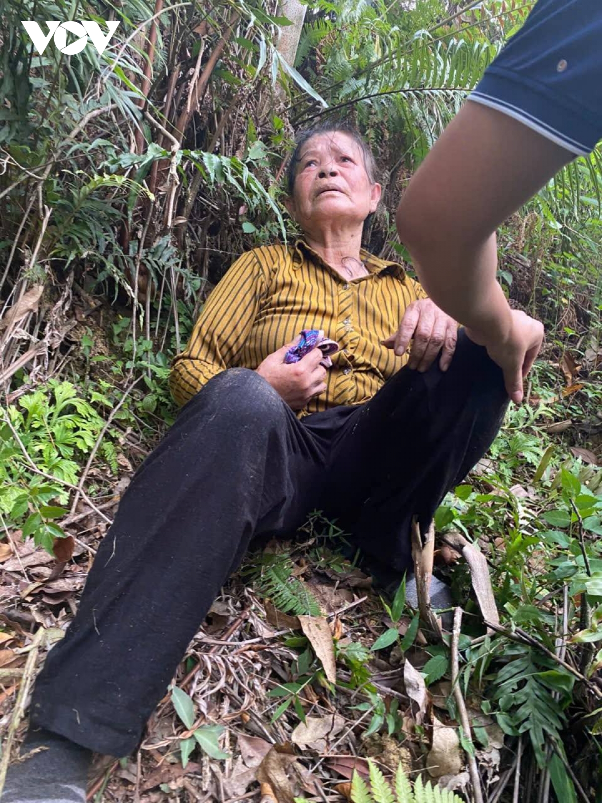 cuu nan thanh cong 1 du khach bi lac trong rung sau khi tham quan thac ban gioc hinh anh 1