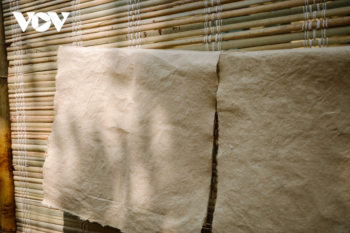 giay do hanh trinh hoi sinh tu di san den trai nghiem duong dai hinh anh 6